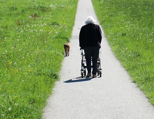 Antranias_pixabay Rollator richtig benutzen