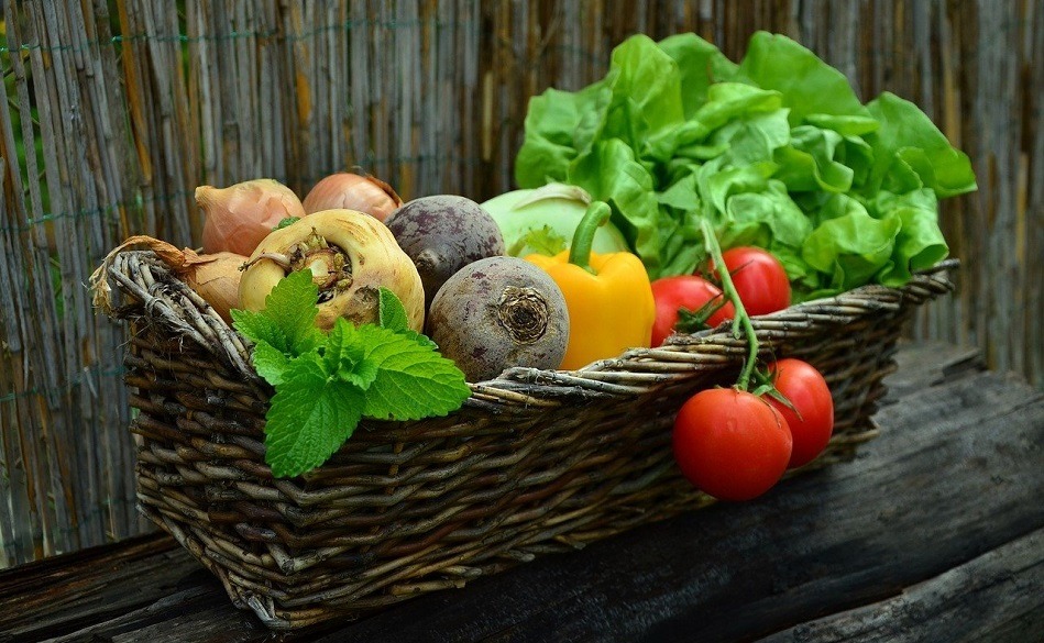 gesunde ernährung im alter